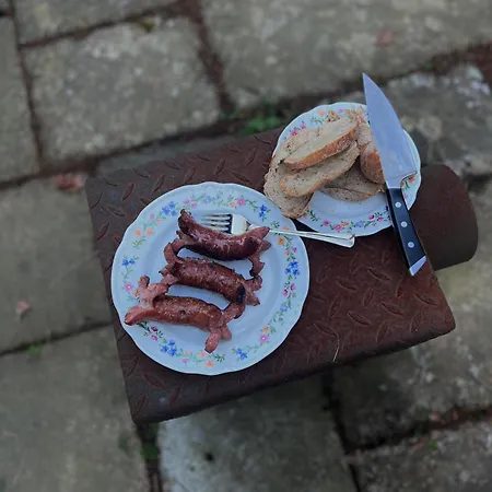 Vakantiehuis Roubenka U Dedy Humpolec